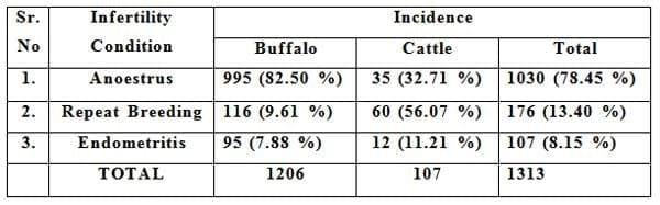 Incidence of Infertility Problems in Cattle and Buffaloes - Image 1