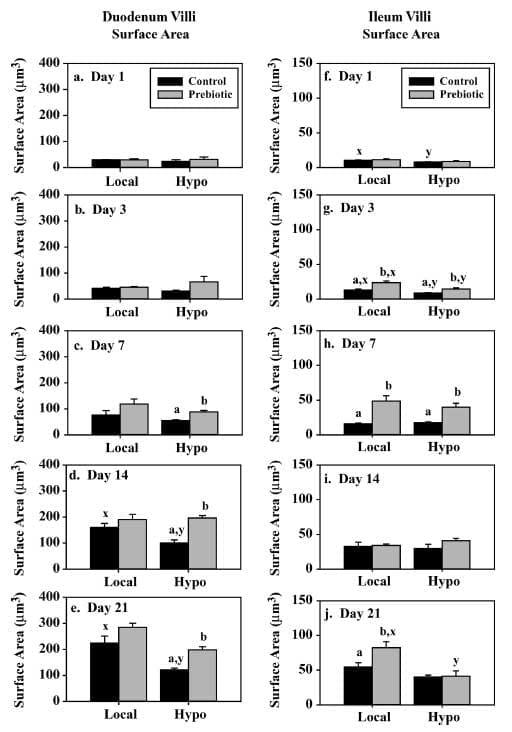 Effect of Prebiotic on Gut Development and Ascites Incidence of Broilers Reared in a Hypoxic Environment1 - Image 4