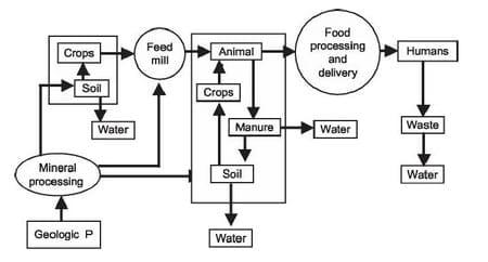 Managing Nutrients for Profit and Stewardship - Image 2