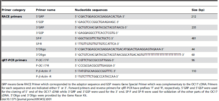 Integrating De Novo Transcriptome Assembly and Cloning to Obtain Chicken Ovocleidin-17 Full-Length cDNA - Image 3