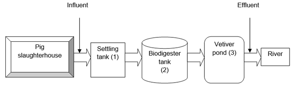 Treatment of wastewater from slaughterhouse by biodigester and Vetiveria zizanioides L - Image 1