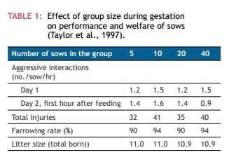 Mixing Sows – How to Maximise Welfare - Image 4