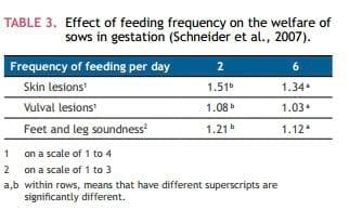 Mixing Sows – How to Maximise Welfare - Image 8