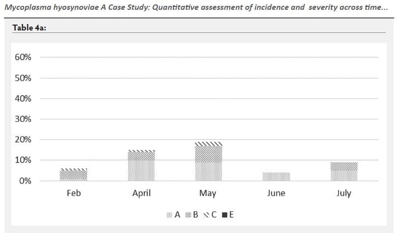 Mycoplasma hyosynoviae A Case Study: Quantitative assessment of incidence and severity across time alongside a diagnostic monitoring plan and intervention - Image 17