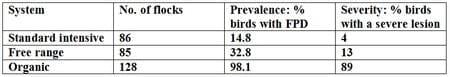 Poultry welfare in different production systems - Image 1
