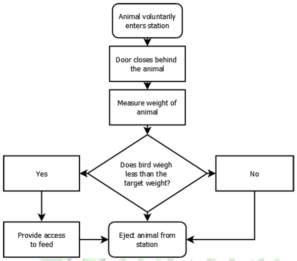 Factors that Affect Feed Intake in Heavy Hens - Image 5