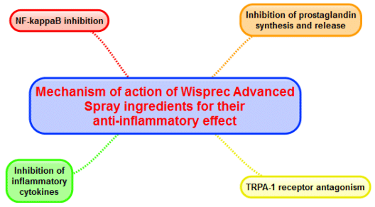 Evaluation of Wisprec Advanced Spray and Certain Phytopharmaceutical Prototypes for their Topical Anti-inflammatory Effect - Image 7