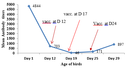 Experience in monitoring IBD antibody titers of broiler birds of two close house farms involving three IBD vaccinations per cycle - Image 3