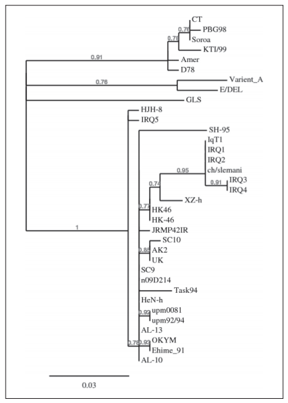 Molecular Characterization of Local Isolates of Infectious Bursal Disease Virus from Broiler Chickens in Iraq - Image 4
