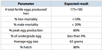 Numbers for Successful Poultry Production - Image 3