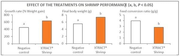 XTRACT® Shrimp improves performance and resistance to disease in Pacific white shrimps - Image 2