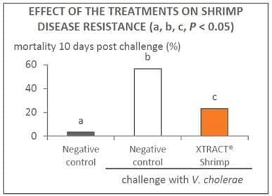 XTRACT® Shrimp improves performance and resistance to disease in Pacific white shrimps - Image 6