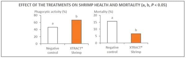 XTRACT® Shrimp improves performance and resistance to disease in Pacific white shrimps - Image 5