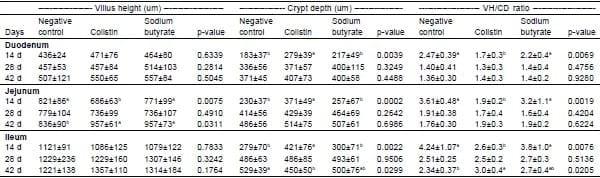 Effect of Partially Protected Sodium Butyrate on Performance, Digestive Organs, Intestinal Villi and E. coli Development in Broilers Chickens - Image 5