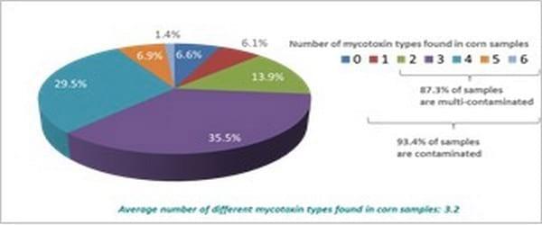 Pancosma & Associates’ 2015 survey: threat of multi-mycotoxin contamination - Image 1