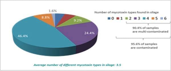 Pancosma & Associates’ 2015 survey: threat of multi-mycotoxin contamination - Image 10