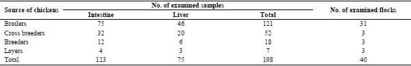 Clinical and laboratory studies on chicken Isolates of Clostridium Perfringens in El-Behera, Egypt - Image 1
