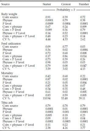 Evaluation of Normal Yellow Dent Corn and High Available Phosphorus Corn in Combination with Reduced Dietary Phosphorus and Phytase Supplementation for Broilers Grown to Market Weights in Litter Pens - Image 4