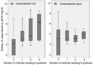 Evaluation of four protocols for the detection and isolation of thermophilic Campylobacter from different matrices - Image 9
