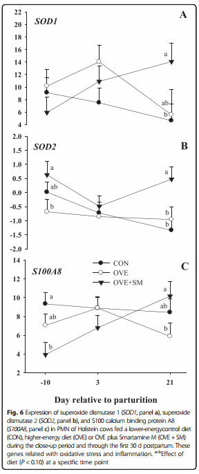 Peripartal rumen-protected methionine supplementation to higher energy diets elicits positive effects on blood neutrophil gene networks, performance and liver lipid content in dairy cows - Image 13