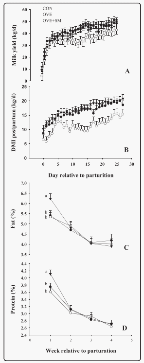 Peripartal rumen-protected methionine supplementation to higher energy diets elicits positive effects on blood neutrophil gene networks, performance and liver lipid content in dairy cows - Image 4