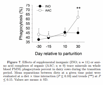 Supplementing Zn, Mn, and Cu from amino acid complexes and Co from cobalt glucoheptonate during the peripartal period benefits postpartal cow performance and blood neutrophil function - Image 14