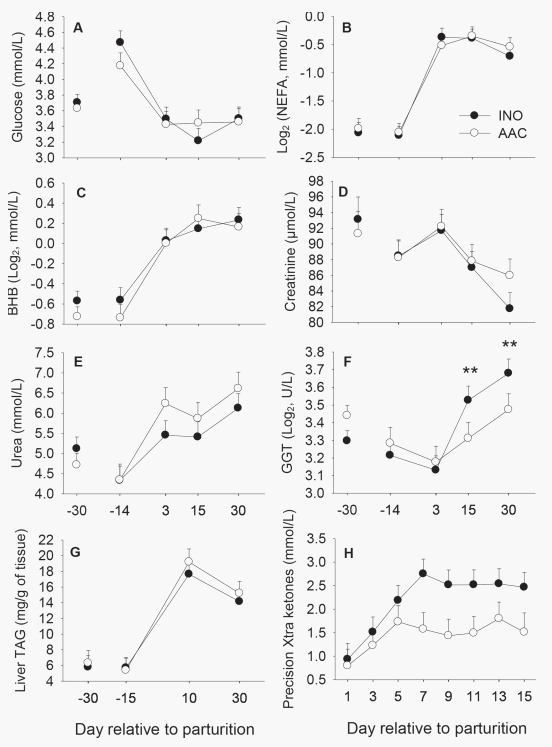 Supplementing Zn, Mn, and Cu from amino acid complexes and Co from cobalt glucoheptonate during the peripartal period benefits postpartal cow performance and blood neutrophil function - Image 11