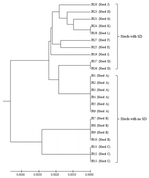 Comparison of Brachyspira hyodysenteriae Isolates Recovered from Pigs in Apparently Healthy Multiplier Herds with Isolates from Herds with Swine Dysentery - Image 3
