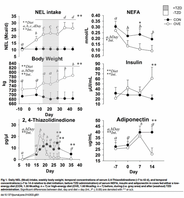 Insulin Sensitivity in Adipose and Skeletal Muscle Tissue of Dairy Cows in Response to Dietary Energy Level and 2,4-Thiazolidinedione (TZD) - Image 2