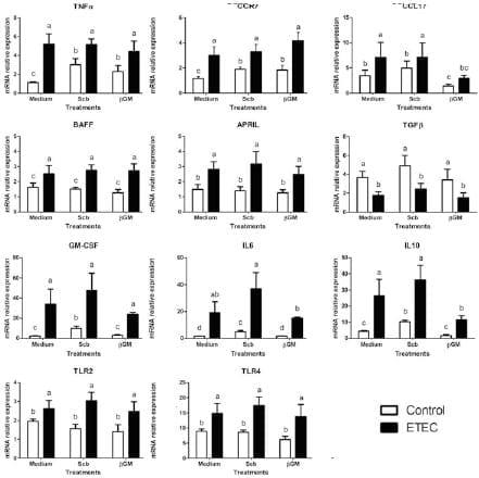 Effect of Saccharomyces cerevisiae var. Boulardii and b-galactomannan oligosaccharide on porcine intestinal epithelial and dendritic cells challenged in vitro with Escherichia coli F4 (K88) - Image 7