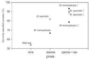 Consistent habitat segregation between sexes in the spider crabs Maja brachydactyla and Maja squinado (Brachyura), as revealed by stable isotopes - Image 7
