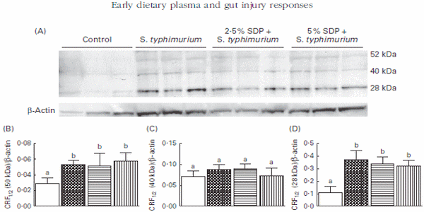 Early-life dietary spray-dried plasma influences immunological and intestinal injury responses to later-life Salmonella typhimurium challenge - Image 5