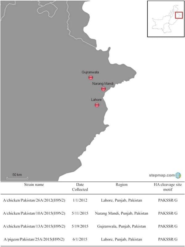 H9N2 low pathogenic avian influenza in Pakistan (2012–2015) - Image 1