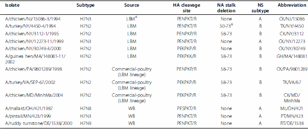 The pathogenesis of low pathogenicity H7 avian influenza viruses in chickens, ducks and turkeys - Image 2