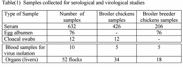 Serological and molecular studies on avian leucosis virus in broiler chicken in Egypt - Image 1
