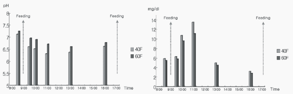 Fatty acid profile of meat, diurnal changes in volatile fatty acids, rumen fluid parameters, and growth performance in Korean native (Hanwoo) steers fed high- and low-forage diets supplemented with chromium-methionine - Image 4