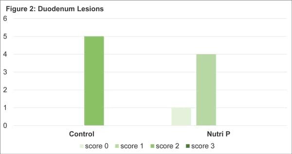 Silvafeed® Nutri P Diet Supplementation Impact on Laying Hens Productive Performance - Image 2