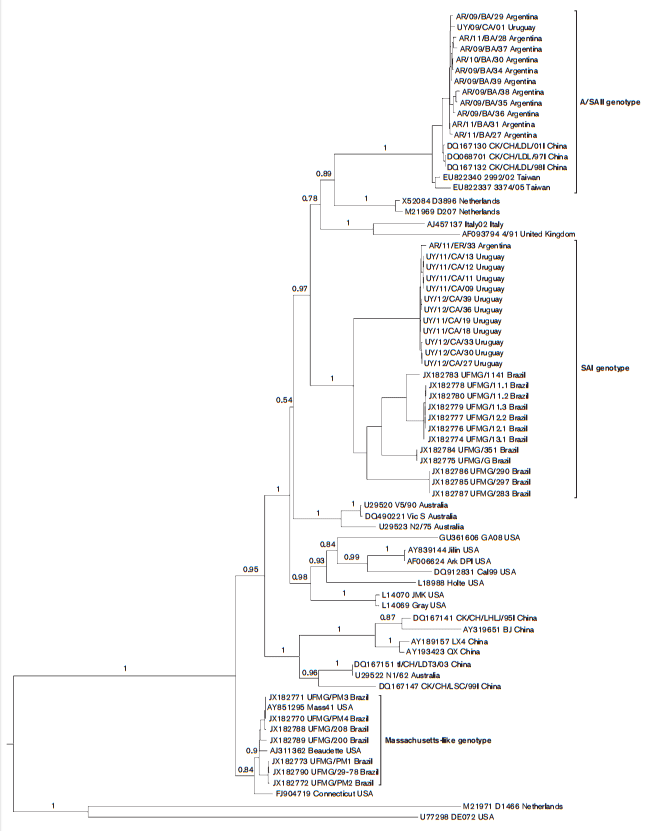 Phylodynamic analysis of avian infectious bronchitis virus in South America - Image 1