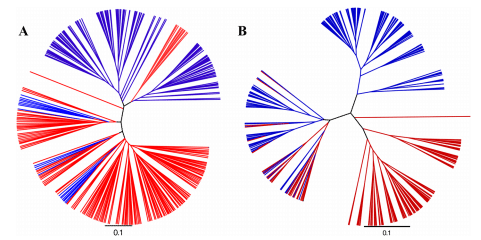 Comparison of fecal and cecal microbiotas reveals qualitative similarities but quantitative differences - Image 2