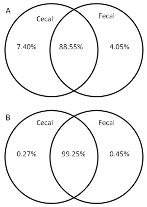 Comparison of fecal and cecal microbiotas reveals qualitative similarities but quantitative differences - Image 3