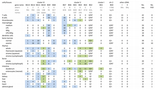 Sequence of a Complete Chicken BG Haplotype Shows Dynamic Expansion and Contraction of Two Gene Lineages with Particular Expression Patterns - Image 3