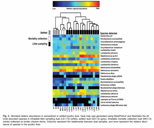 High throughput genomic sequencing of bioaerosols in broiler chicken production facilities - Image 3