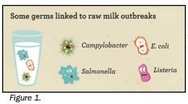 How safe is the consumption of raw milk? - Image 1