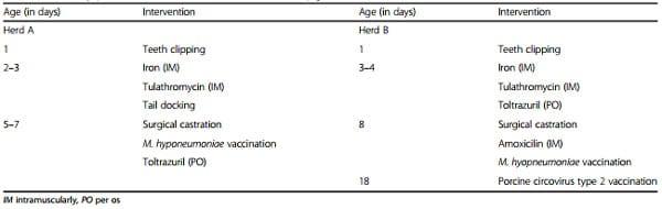 Clinical problems due to encephalomyocarditis virus infections in two pig herds - Image 4