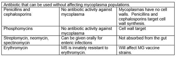 Mycoplasma Control in Asian Countries - Image 1