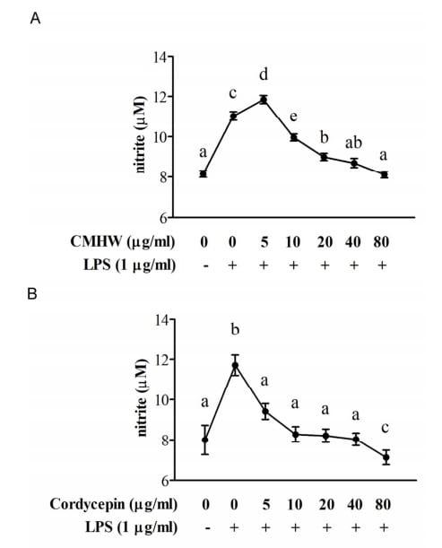 Cordyceps militaris hot water extract inhibits lipopolysaccharide-induced inflammatory response in porcine alveolar macrophages by regulation of mitogen-activated protein kinase signaling pathway - Image 2