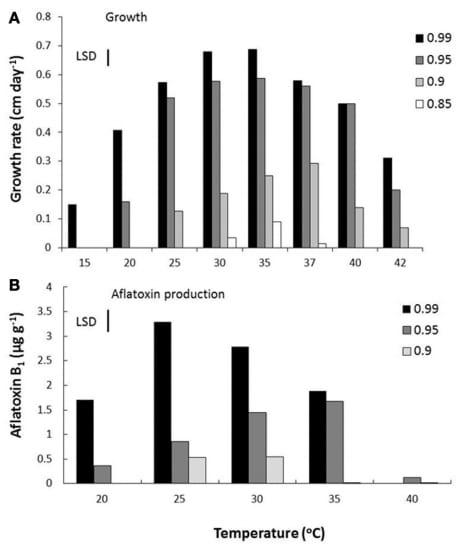 Effect of climate change on Aspergillus flavus and aflatoxin B1 production - Image 3