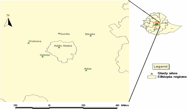 Fecal prevalence, serotype distribution and antimicrobial resistance of Salmonellae in dairy cattle in central Ethiopia - Image 1