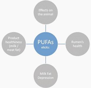 Fats & Fatty Acids for Ruminants: a Revolution in Knowledge and Approaches - Image 2