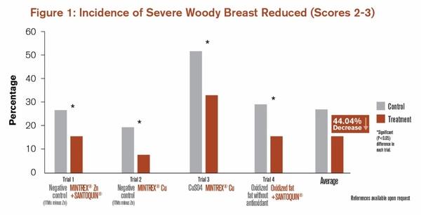Reduce Woody Breast and White Striping in Poultry Meat with Dietary Approach - Image 4